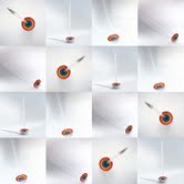 Stefano Russo - 23 7 3 1